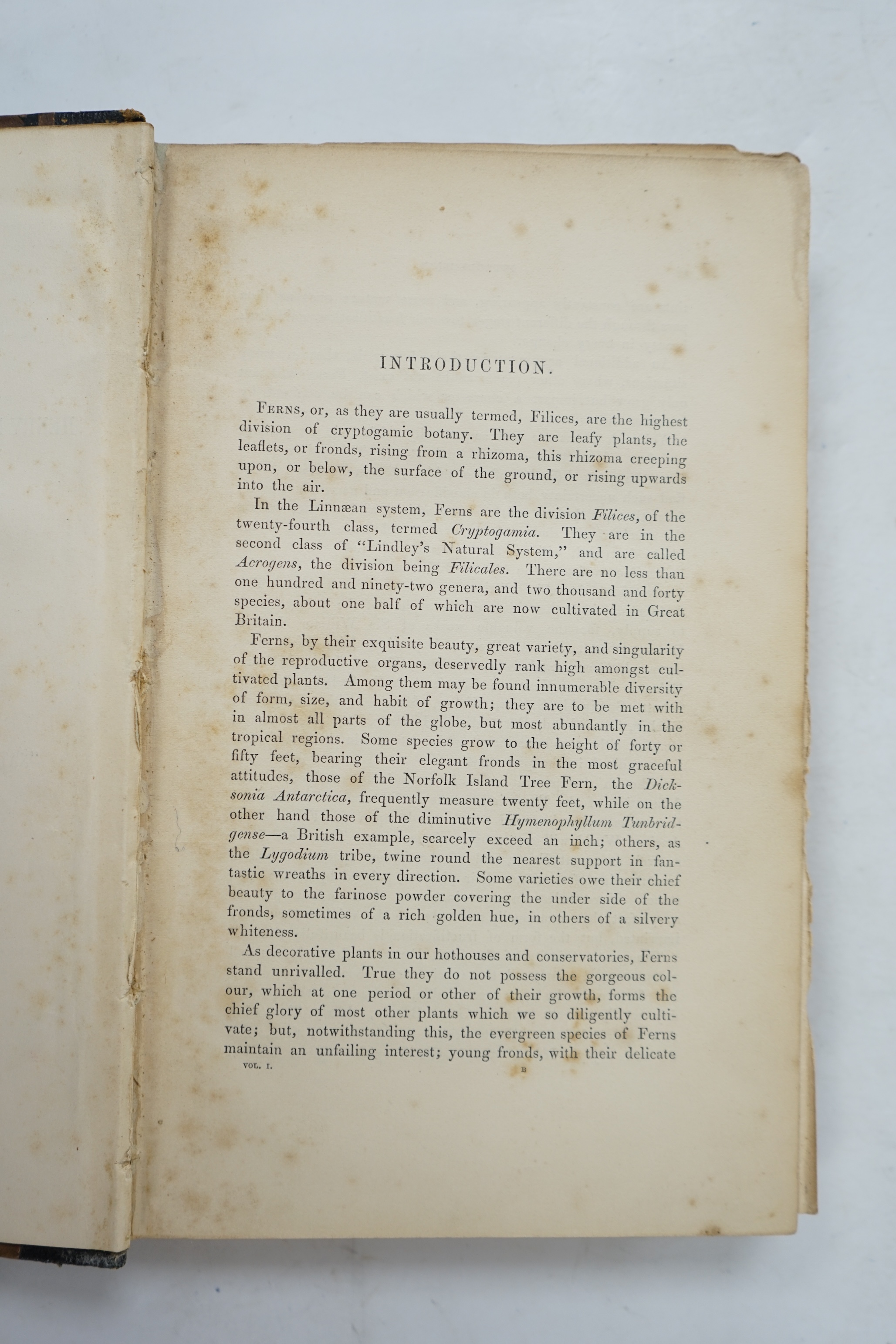 Lowe, Edward Joseph - Ferns: British and Exotic, 8 volumes, 1st edition, 8vo, half calf, scuffed and with some loss to the leather, 479 chromolithograph plates, Groombridge and Sons, London, 1856-60.